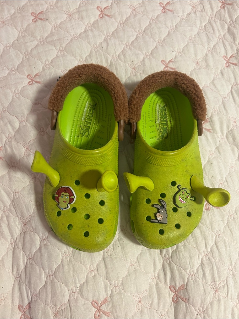 Shrek Crocs